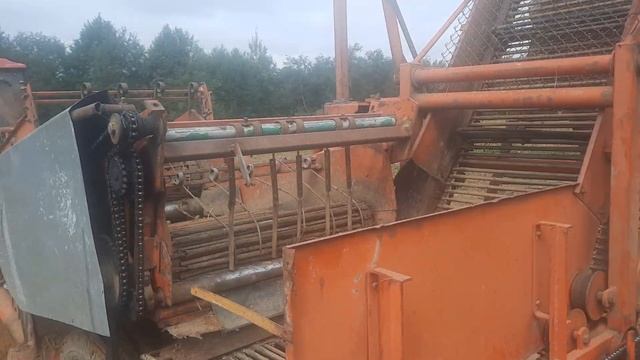 29 декабря 2024 г.