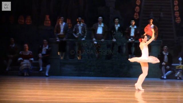 О.Новикова (O.Novikova), Китри (Kitri), 1-11-23