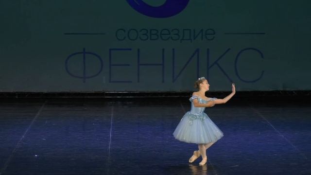 Вариация реки Нева