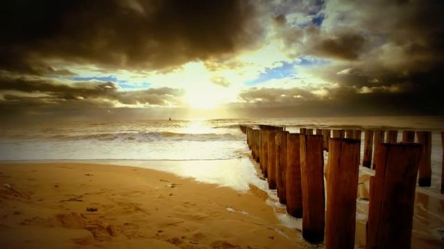 Эльвира Шейх - 