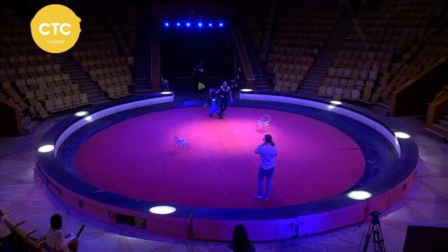 Новая программа в цирке