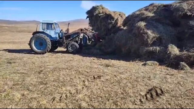 18 октября 2024 г.