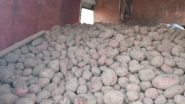 НАРХИ КАРТОШКА 14 04 2023 ДАР МОҲИ ШАРИФИ РАМАЗОН