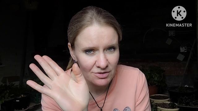 Be405957549a8f7c427cce562b266122