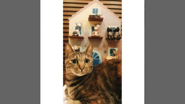 Доброго воскресного утра! Кто в воскресенье с раннего утра на ногах - тот я! Мы поехали трудиться.