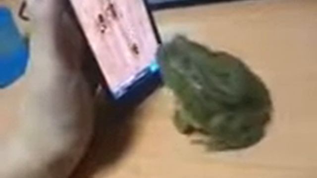 7f2f5e64845af17ee1138c56cb780c6c