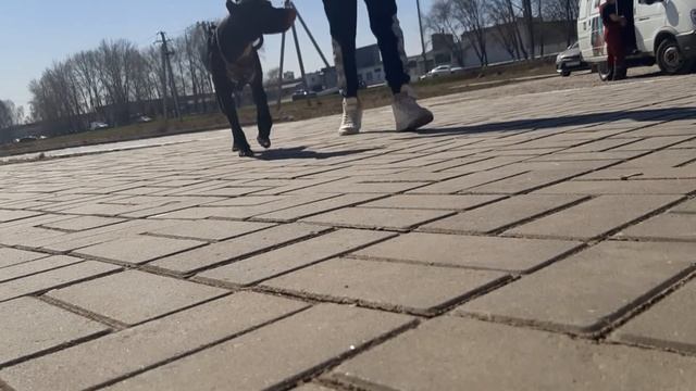 By ВДА привет Челны (видеоряд от ВДА, НЕ КЛИП , клип ждём со дня на день смонтируется)