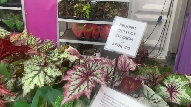 Цветочный Фестиваль в Хэмптон Корт | Июль 2024