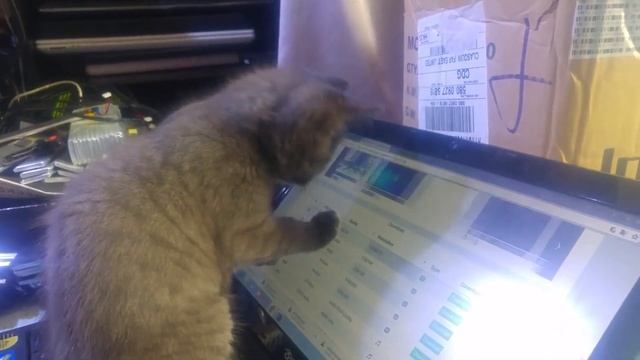 E929503d80609b64c5c2ba86d181f287