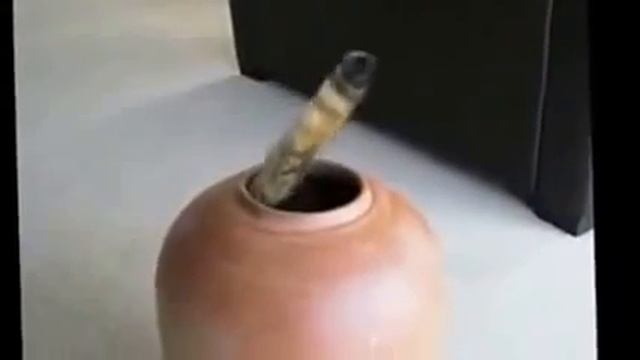 Угарные приколы над людьми из Америки и России!