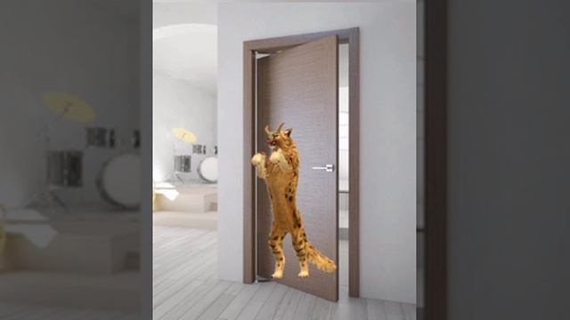 Короче говоря Паук.../Прикол/Wildcraft/