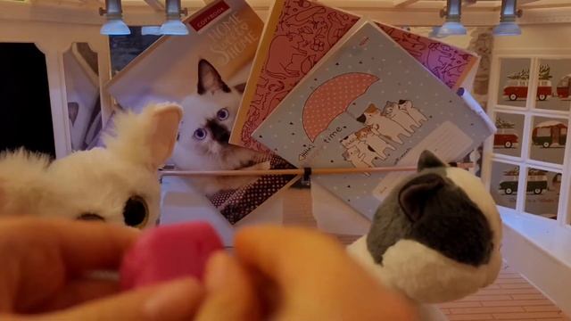 Beanie Boos глазастики Ty,  класс балета