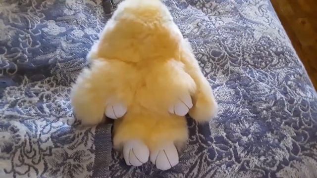 Первое видео на канале моей Карамельки 💖