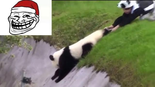 Смешная панда