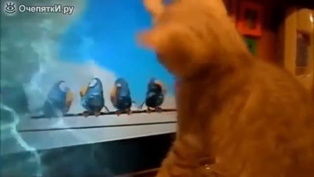 E835880ed0580d9bca00e971999a854b