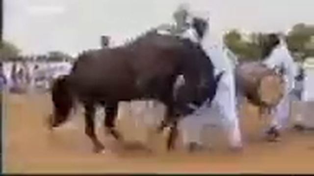 9f5536dc0c158905172307952c7d4ad1