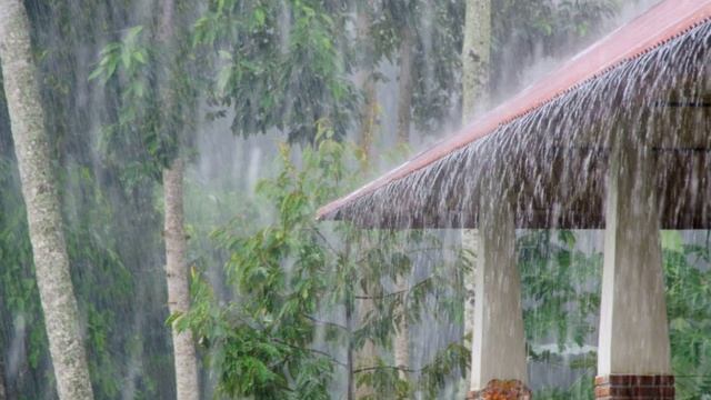 Льет Как из Ведра. Сильный Дождь, Звуки Ливня. Звук Проливного Дождя. Шум Дождя с Громом