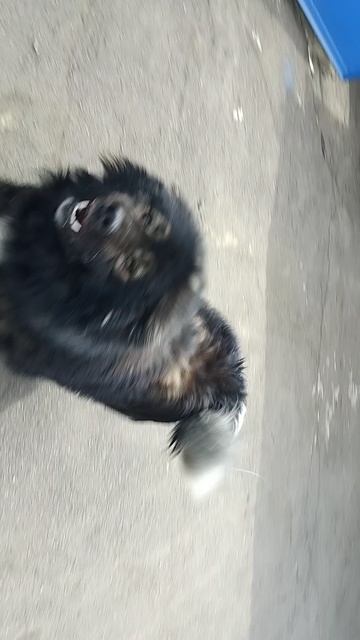 Video_20250521_152056