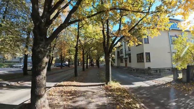 Sõidud Elektrilise Pisimopeediga. Поездки на электро малыш- мопеде Sunn