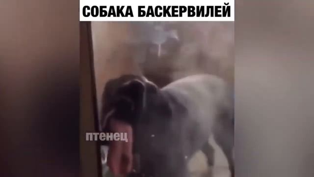 9924e41c9cc355d7d869b6faa6eb8edd