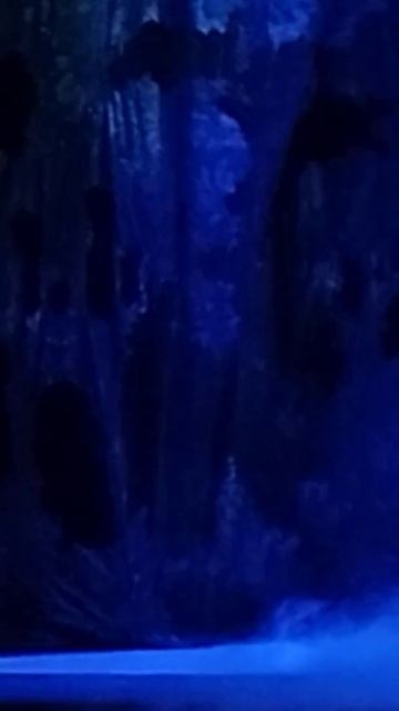 #балет #жизель