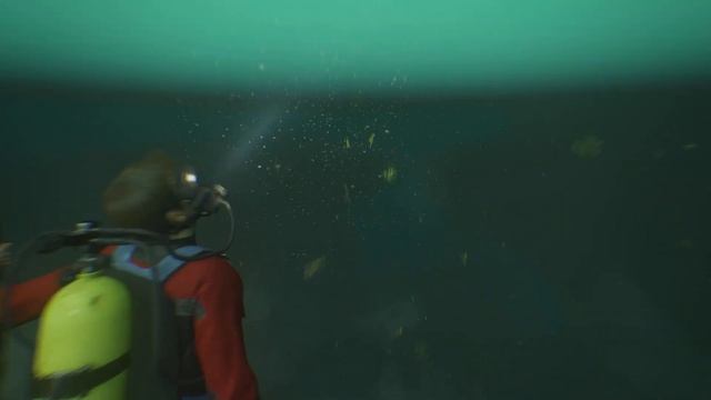 Uncharted 4 : Наследие воров.