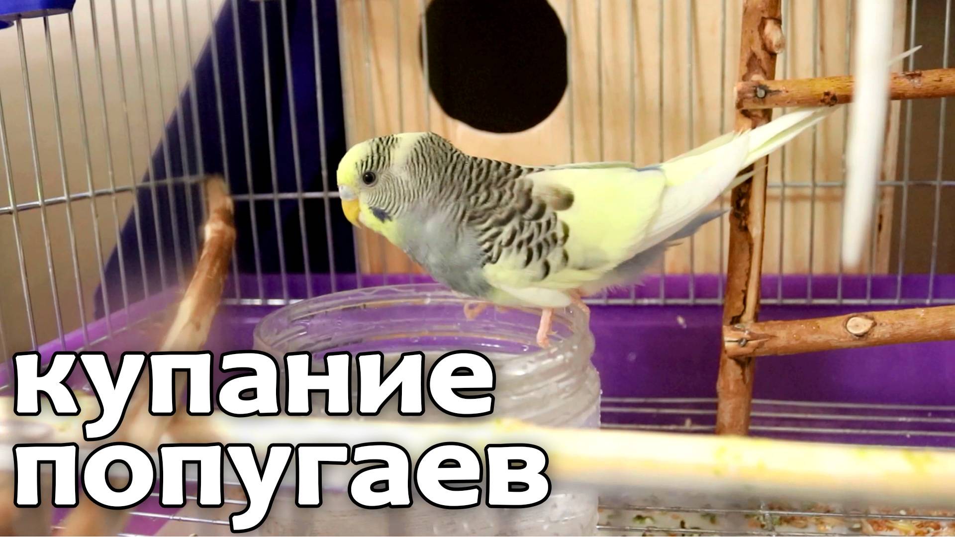 1b828ba445aab7f4ad097114e8dbe264