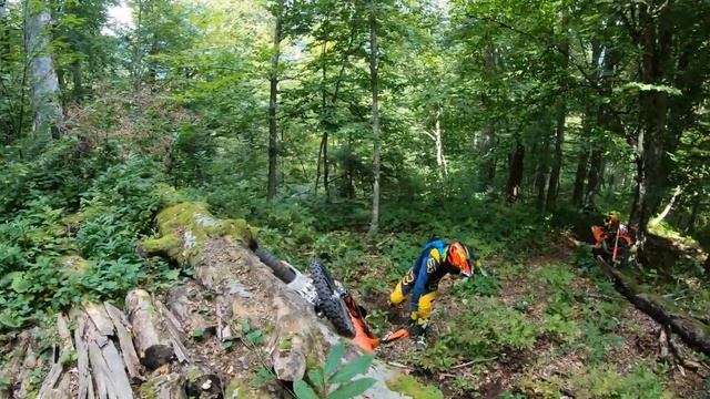 623ac7e8987b009320bb3f5fd7f75dc4