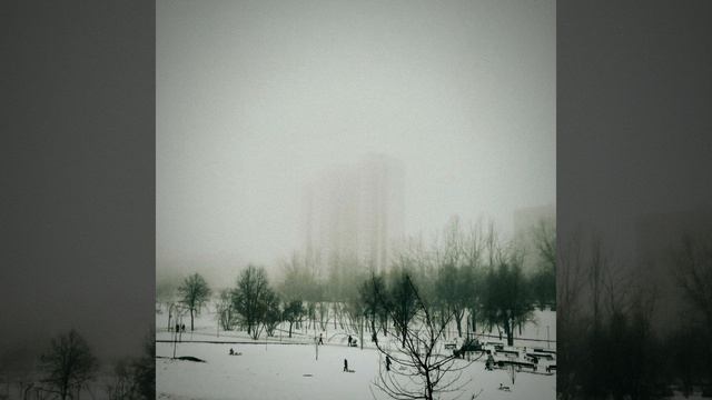 БЕЛЫЙ  - Цветок