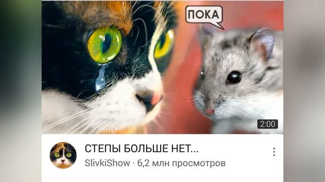 SlivkiShow - СТЁПА УМЕР ОТ БАСОВ
