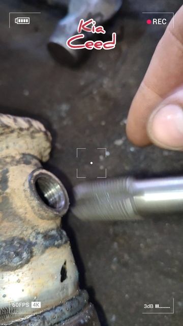 Денис Оскольский