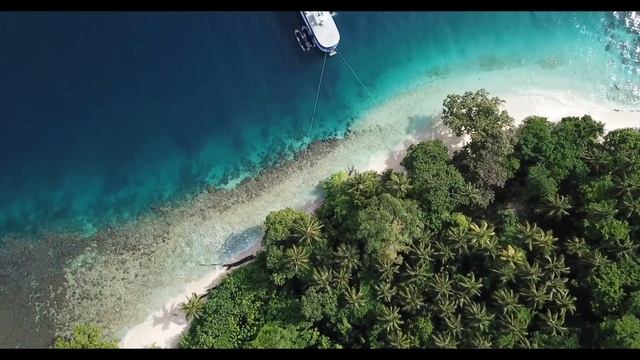 Растения и люди