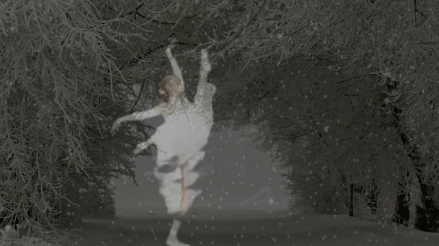 Павел Кашин - Снежинка