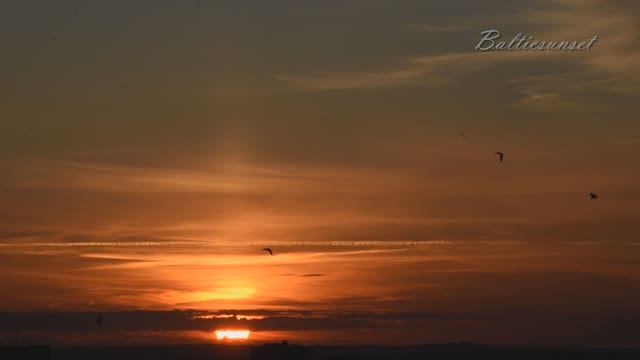 9339cfe47b5eaf01d9dddcdf47eb23c9