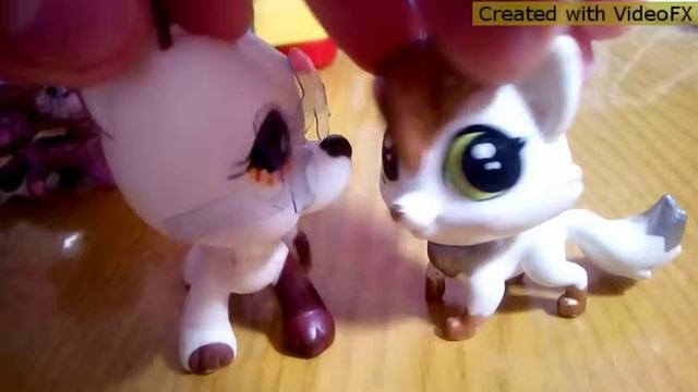 7a3d101325d2ad2cd7b6b2529181d0d5