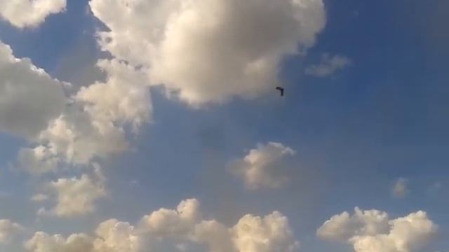 не убиваемый самолет