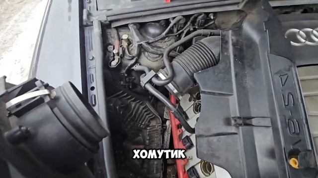 Скорость любви