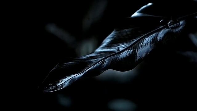 проект 02.01.2023