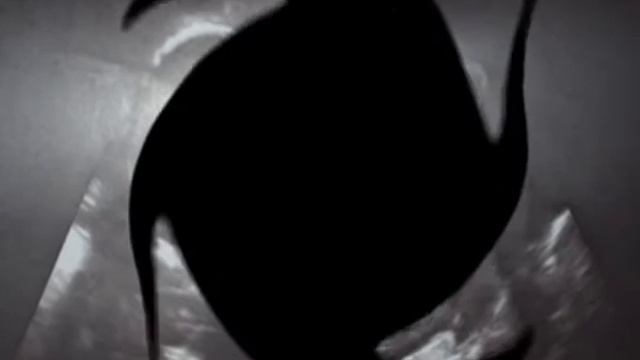 #Pampers_первыемоменты