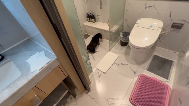 9cea3c207f502b6c8a371f059710616d