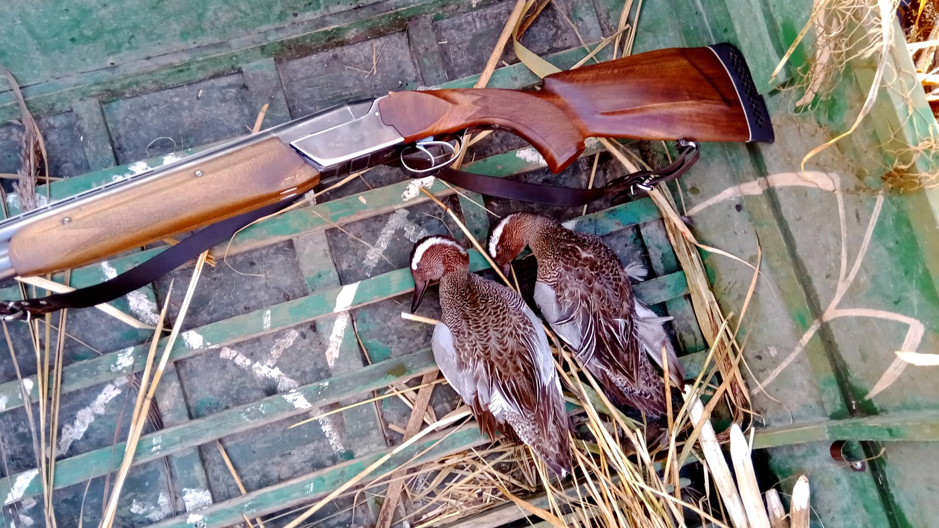 Cef95767e8f4eaf527aae737dac0234d