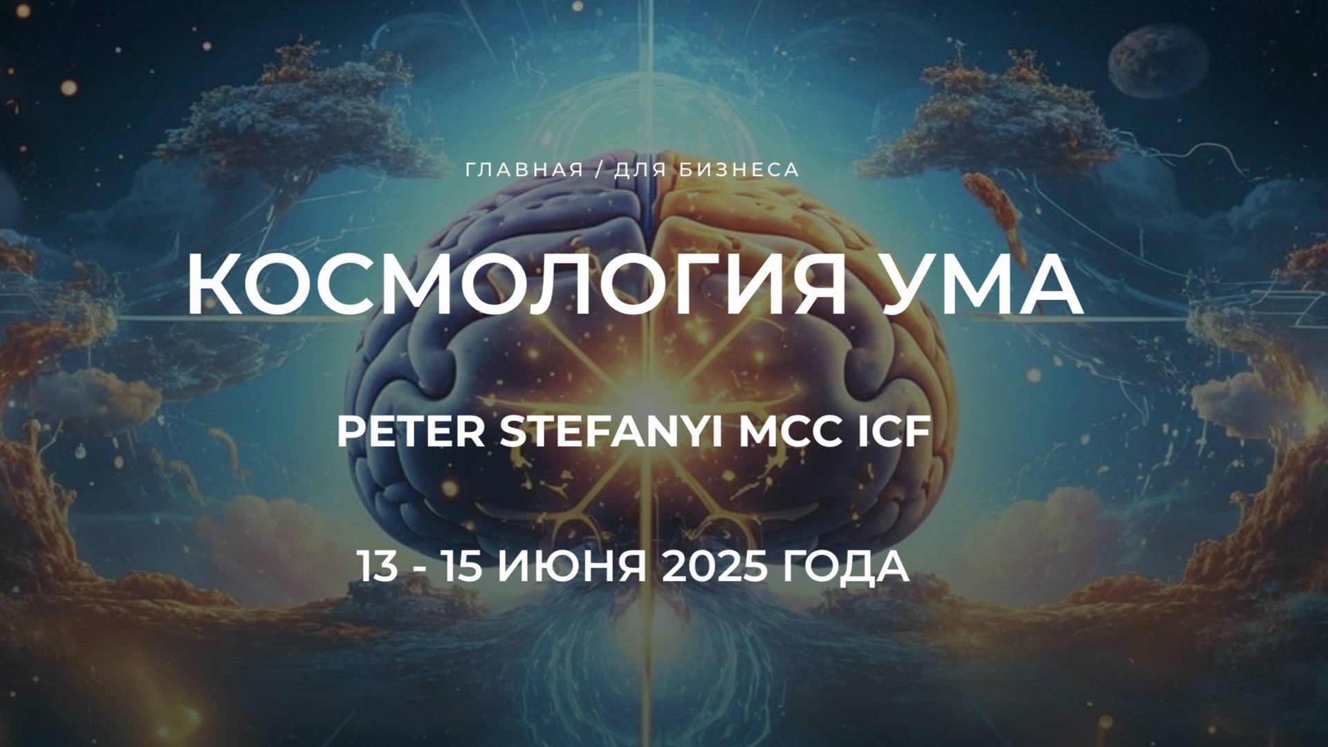 Мастер-класс Питер Стефани (МСС ICF) о курсе 