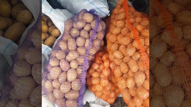 Органический  картофель,выращенный на стартэко и стар