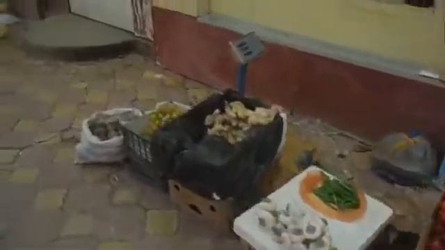 Хз 2020 дар вахдат