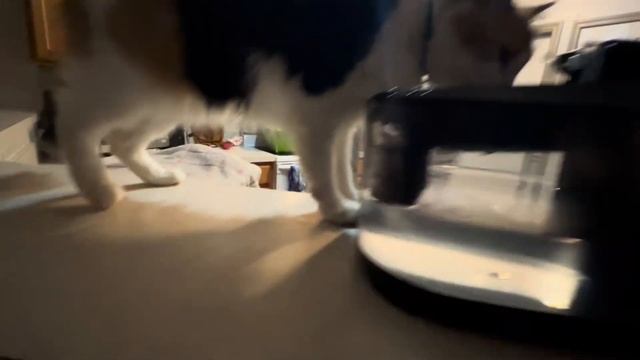 СЕГОДНЯ ПРАЗДНИК У ДЕВЧАТ СЕГОДНЯ БУДУТ ТАНЦЫ❤️❤️