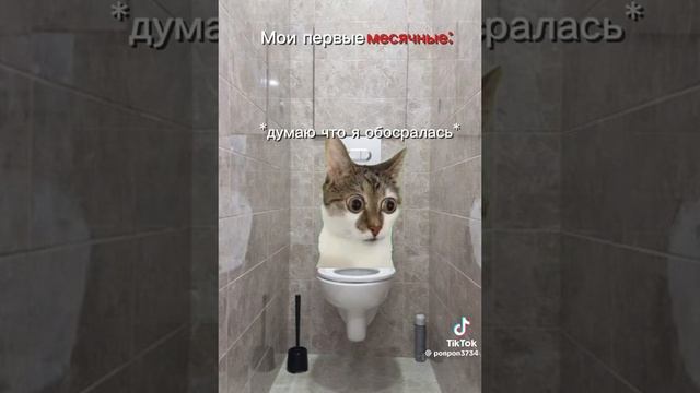 8e629488680739b2674f97234539477b