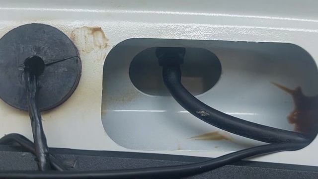 Amazing Accomplishments