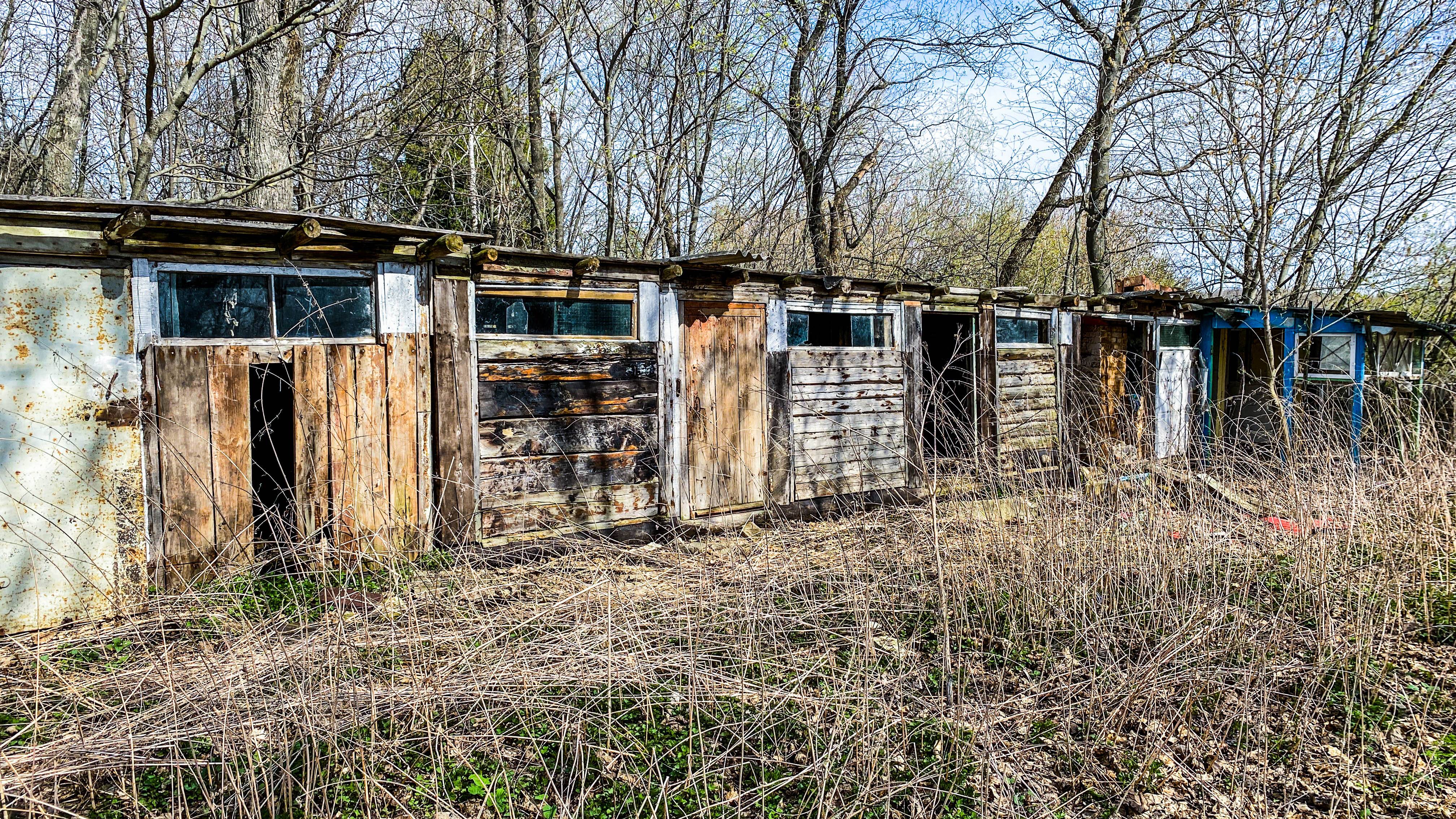 Заглянул в старые сараи рядом с заброшенным домом. Что интересного я там увидел