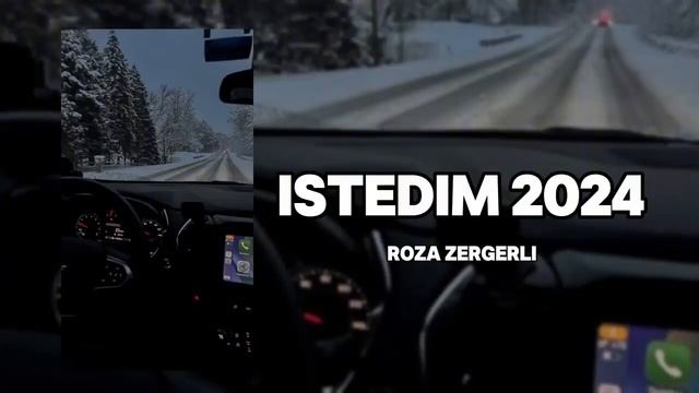 ISTEDIM 2024 - ROZA ZERGERLI ХИТ 2024 ТУРЕЦКИЙ ПЕСНЯ