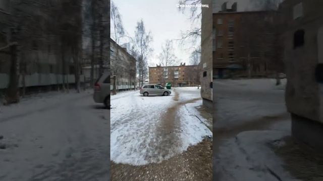 После гололёда шпиц Тортик с Вами🐶🦅#животные#собака